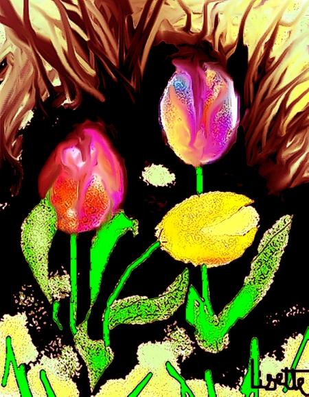 Quelques cr�ations