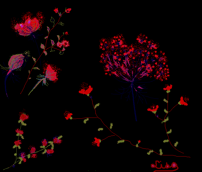 Cigu�, bouton d'or et menthe corses