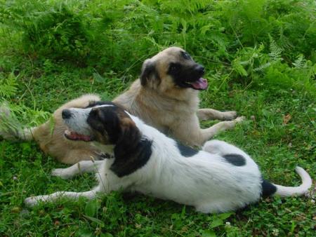 On est mal sans amour