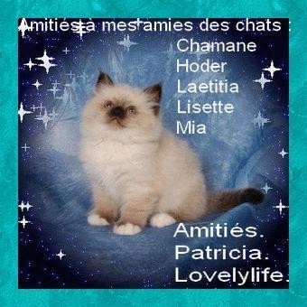 Merci � Patricia et mille bisous !