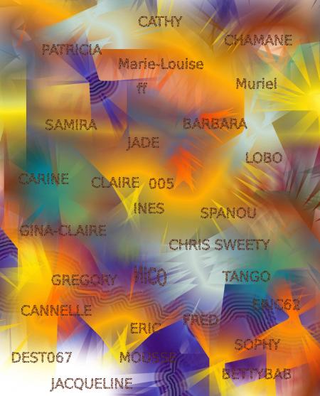 Feu d'artifice pour ceux que j'aime