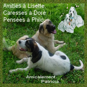 Deux cadeaux de Patricia