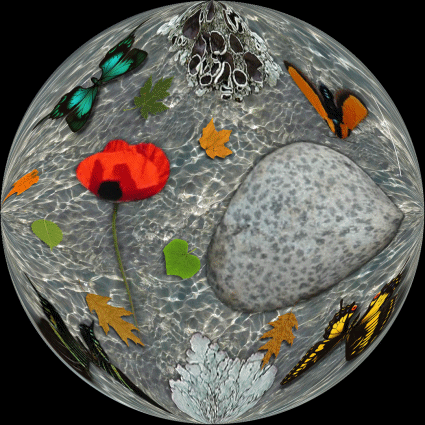 Pour mes amies fid�les