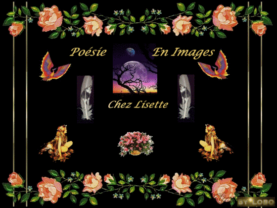 Merci Lobo de ton image !