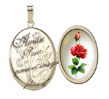 Cadeau de Carine-Felinec