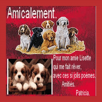 Patricia, mon amie tr�s ch�re