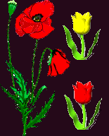 Merci � ma gentille Vita/Val�rie