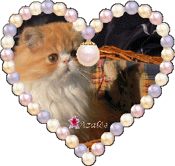 Les animaux ne sont pas prot�g�s pour eux-m�mes mais pour  magnifier plus encore le narcissisme de leurs pseudo-d�fenseurs